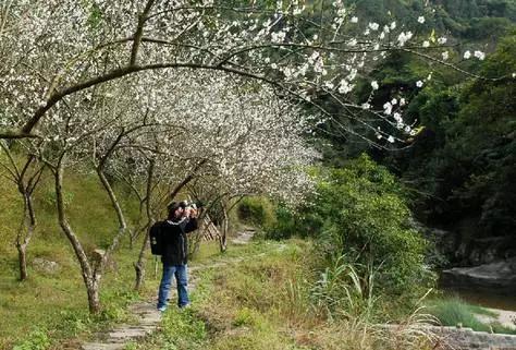 广东草原风景区,广东最美大草原