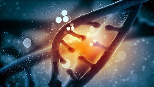 如果我们活到100岁一直不死会干嘛,如果有一天人类可以长生不老