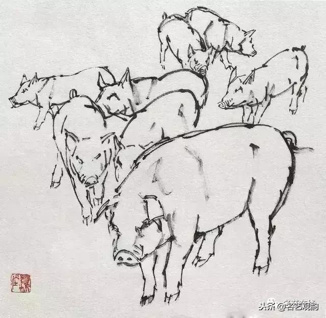 小朋友画猪简单又好看,猪年画猪中国画