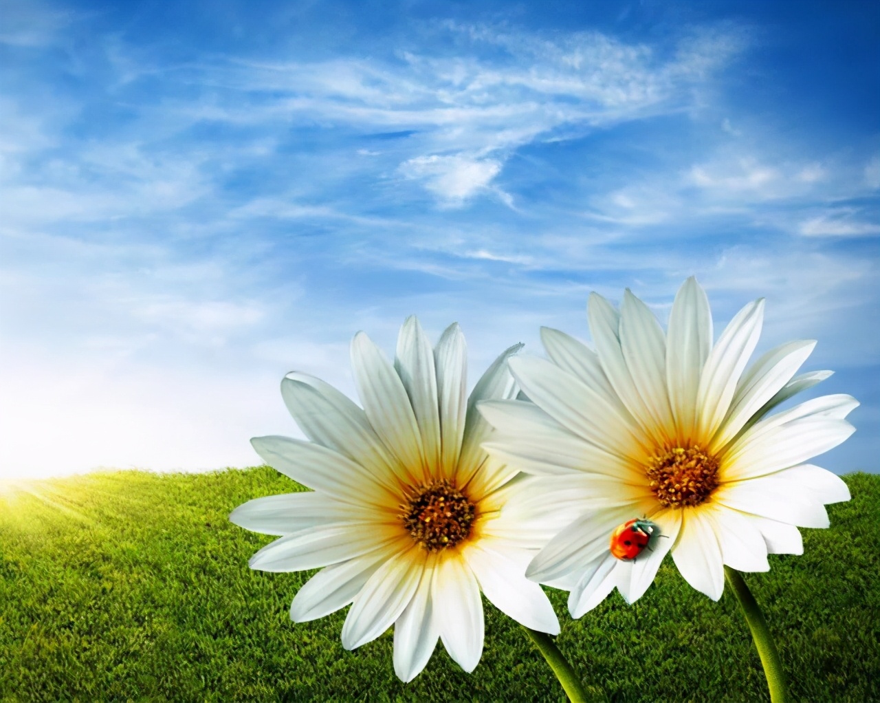 精神心理疾病你了解几种,躁郁症患者不会承认自己是躁郁症