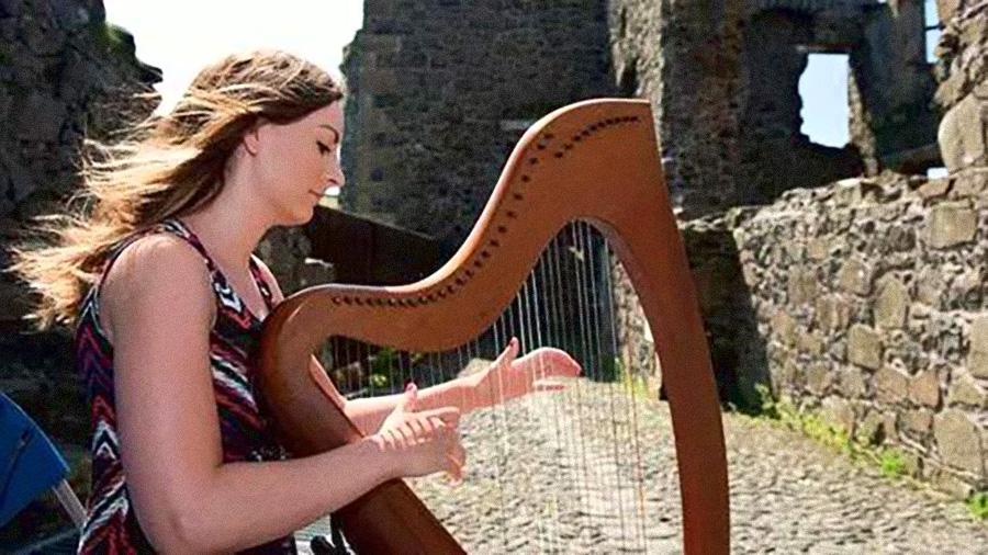 爱尔兰猎狼犬冷知识,爱尔兰你不知道的国家冷知识