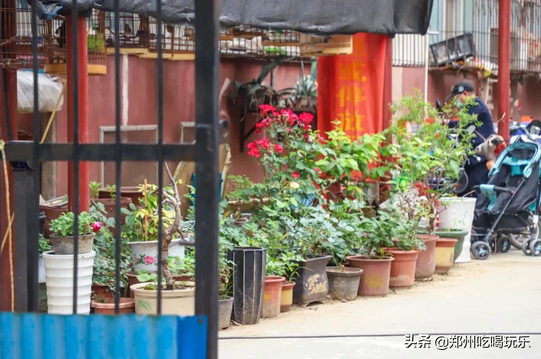 没有256g的胃是什么意思,没有256g胃能吃海鲜吗