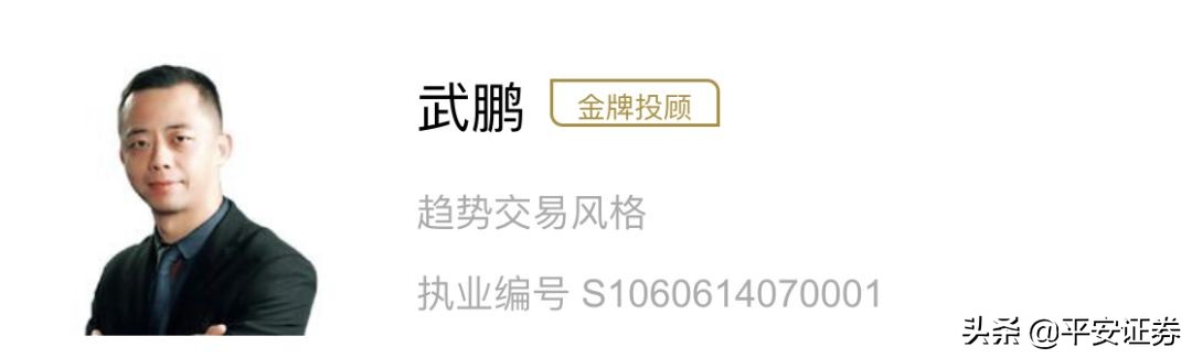 关于股票项目的名称,股票名称有通字啥意思