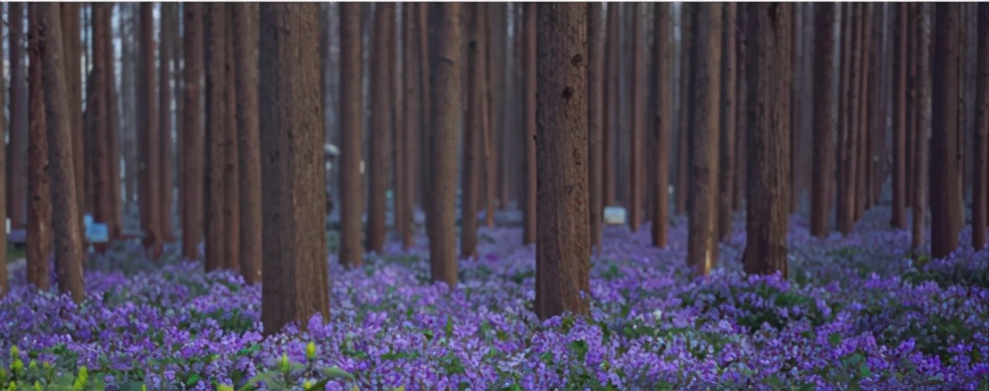 就业率100%,就业率100%大专