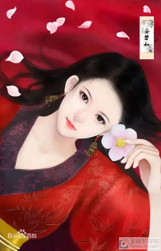 后宫小说5本,全书251万字的后宫文小说名字