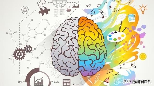 人脑左脑右脑功能,意识产生于大脑哪个部位