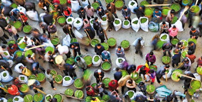 网上买茶叶好还是在茶农家买好,茶叶从网上买好还是茶叶店好