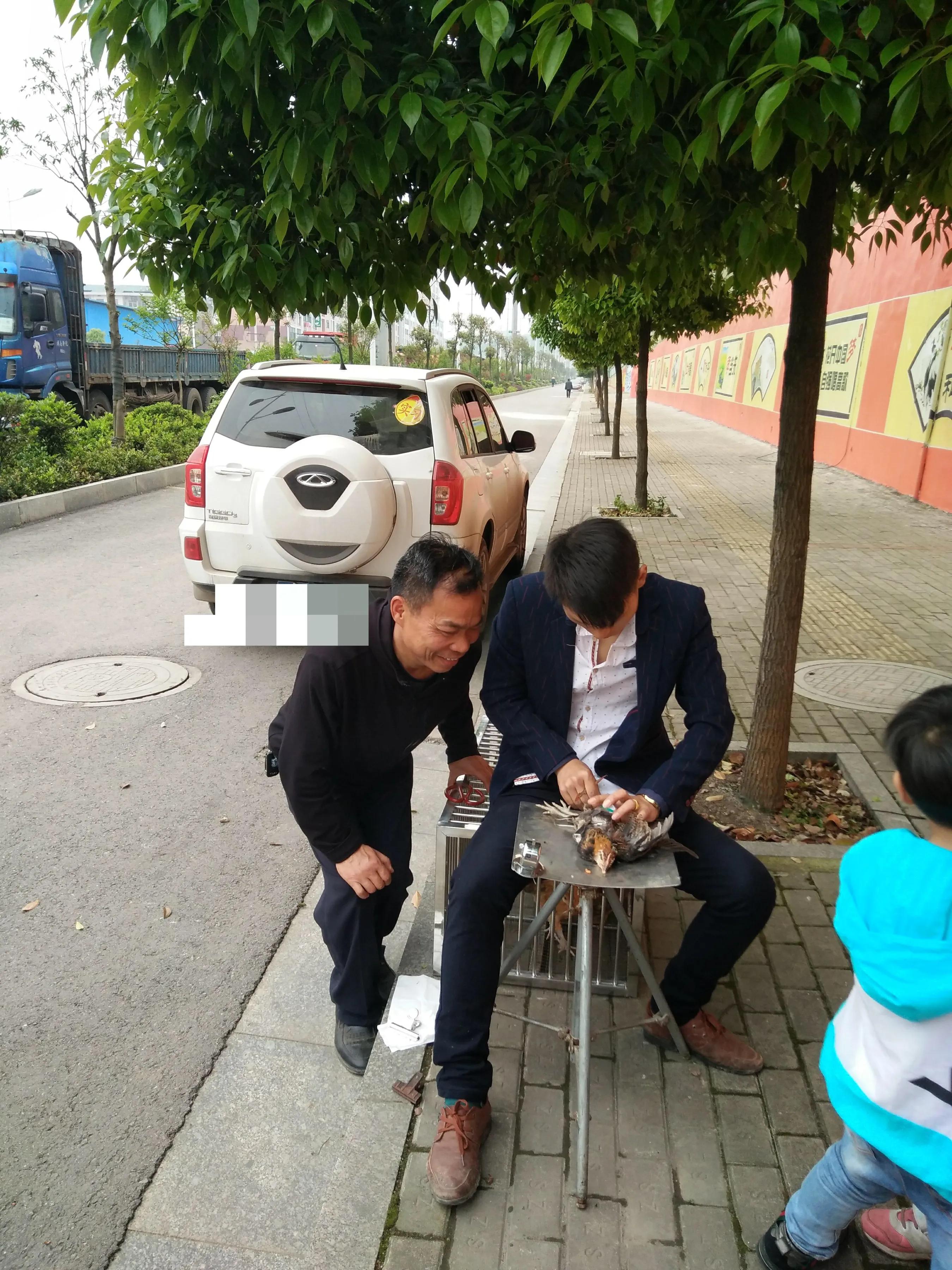 阉鸡和没有阉的鸡有啥区别,阉鸡怎么阉的步骤