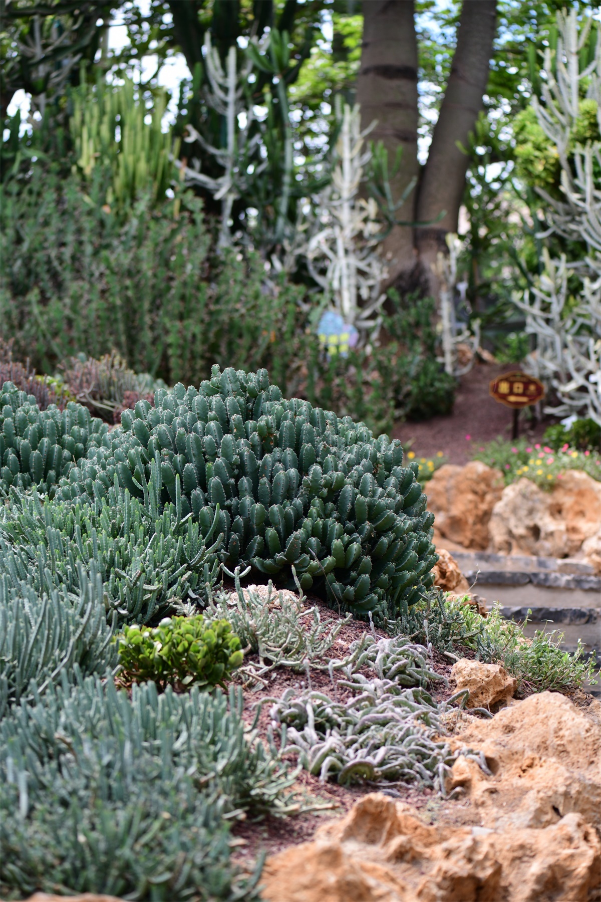 南通绿博园室内,南通绿博园风景