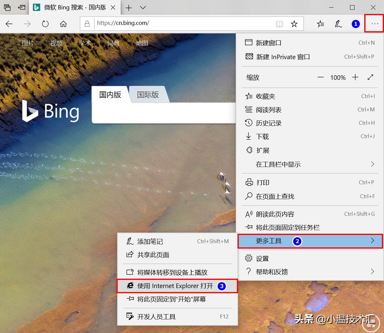 windows10自带浏览器打开网页很慢,win10自带的outlook怎么打开