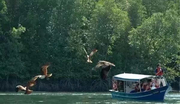 去兰卡威旅游的感受,马来西亚兰卡威旅游攻略