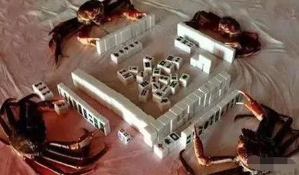 打麻将到底好不好?美国科学家出研究结论了