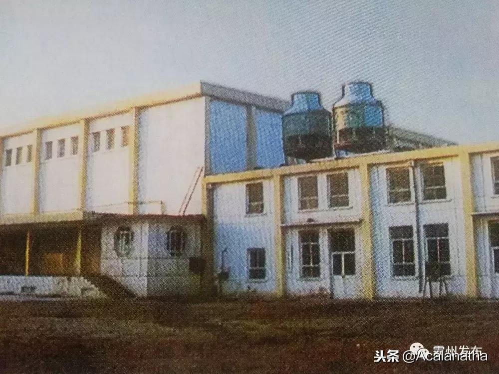 霸州土产公司老照片,霸州老城区图片