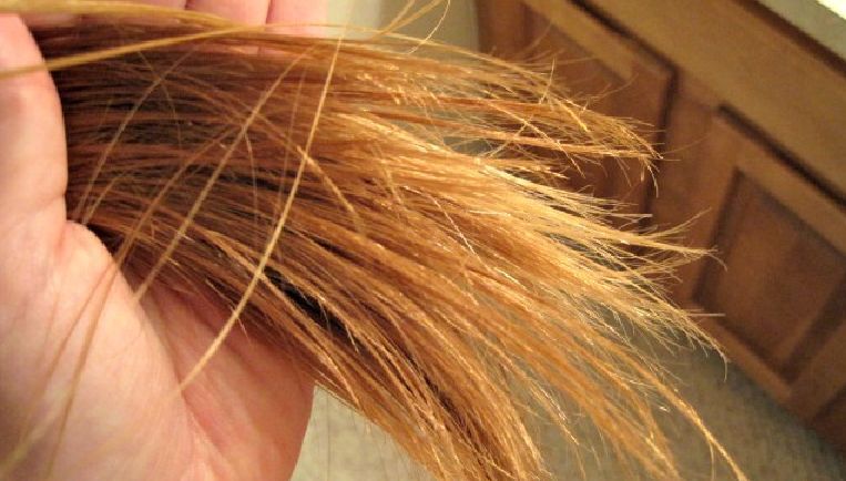 头发干枯分叉怎么护理,漂完头发干枯怎么护理