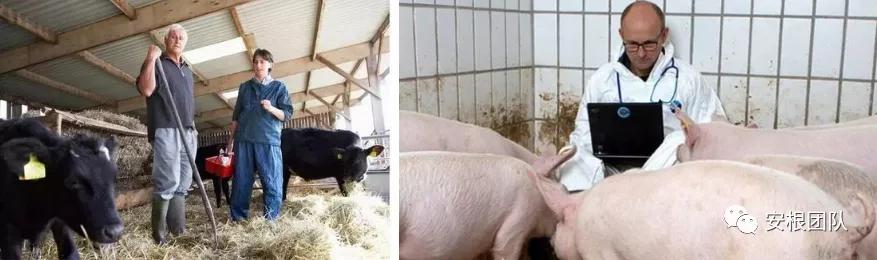 茶人学习:欧洲国家农民合作社融资实践