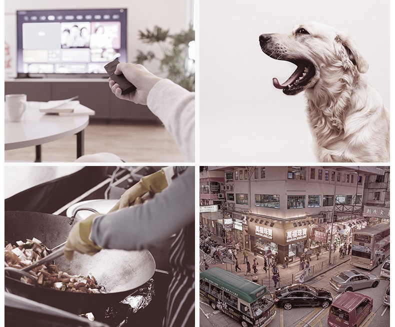 世界环境日宣传文字,世界环境日环保宣传进社区活动