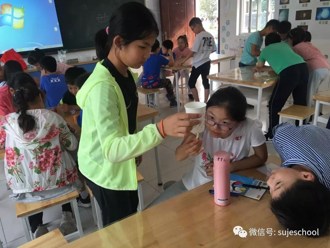 鍗椾含鑻忔澃灏忓鏁欏笀鎷涜仒淇℃伅,鍗椾含鑻忔澃绮惧瘑鎷涜仒