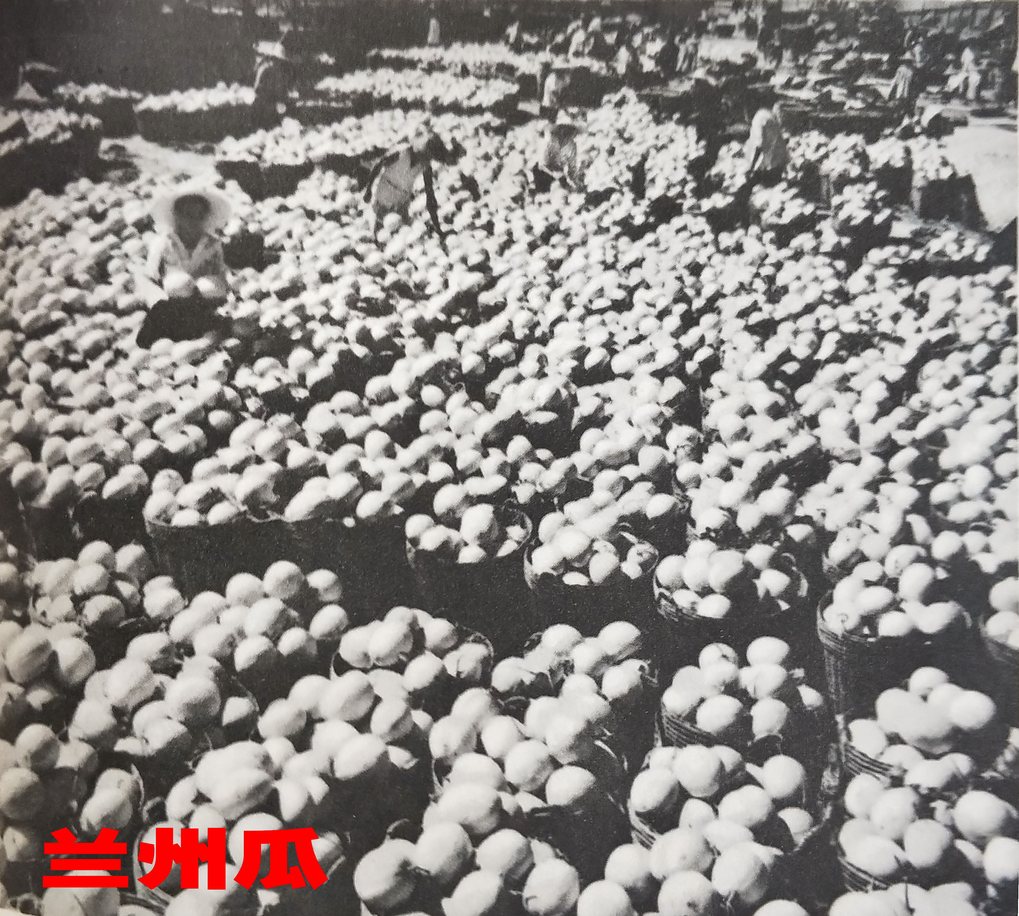 人民公社从哪一年开始,人民公社的产生简介