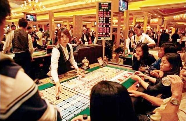 你永远也战胜不了凯利公式,凯利公式解释赌博为什么会输