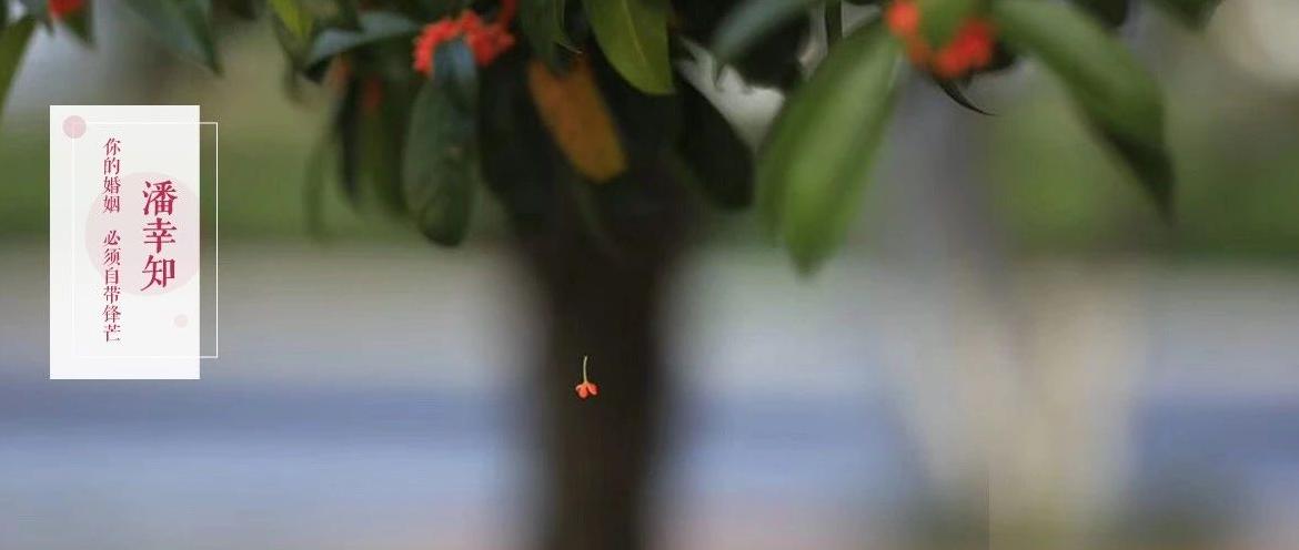 我34岁，被出轨后人生开挂，给你透露3个离婚陷阱