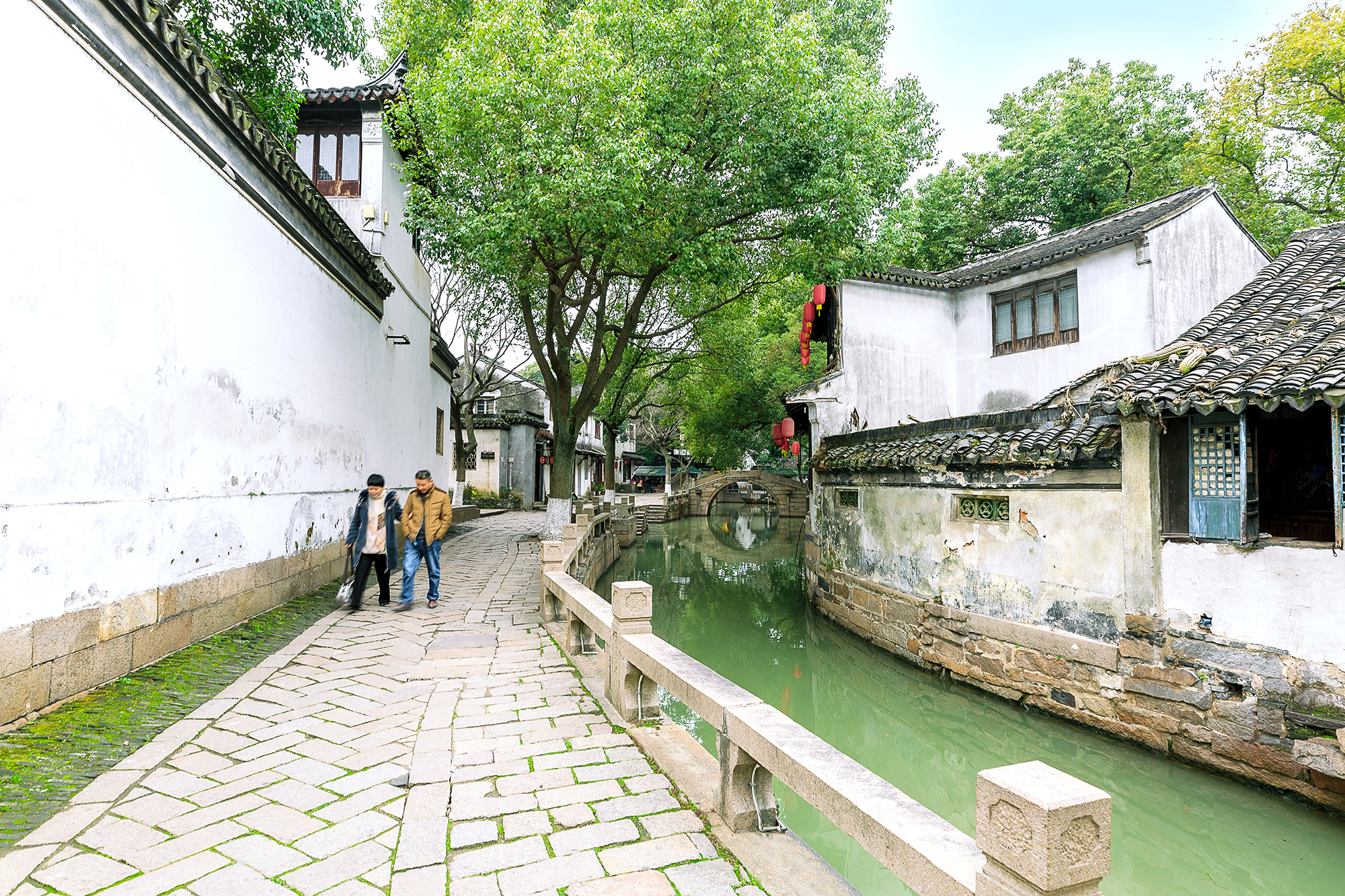 愿为人间客，世世在江南，不如来同里