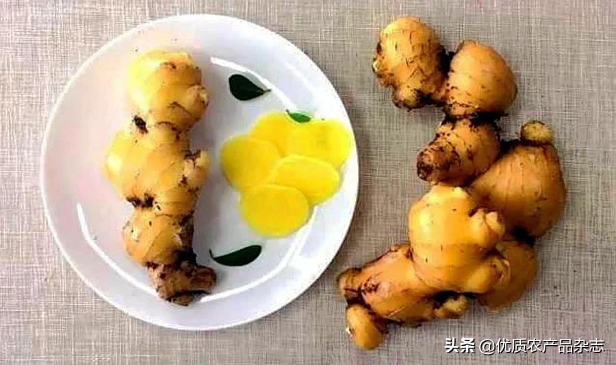 大姜种植技术大全和利润,无公害姜种植技术