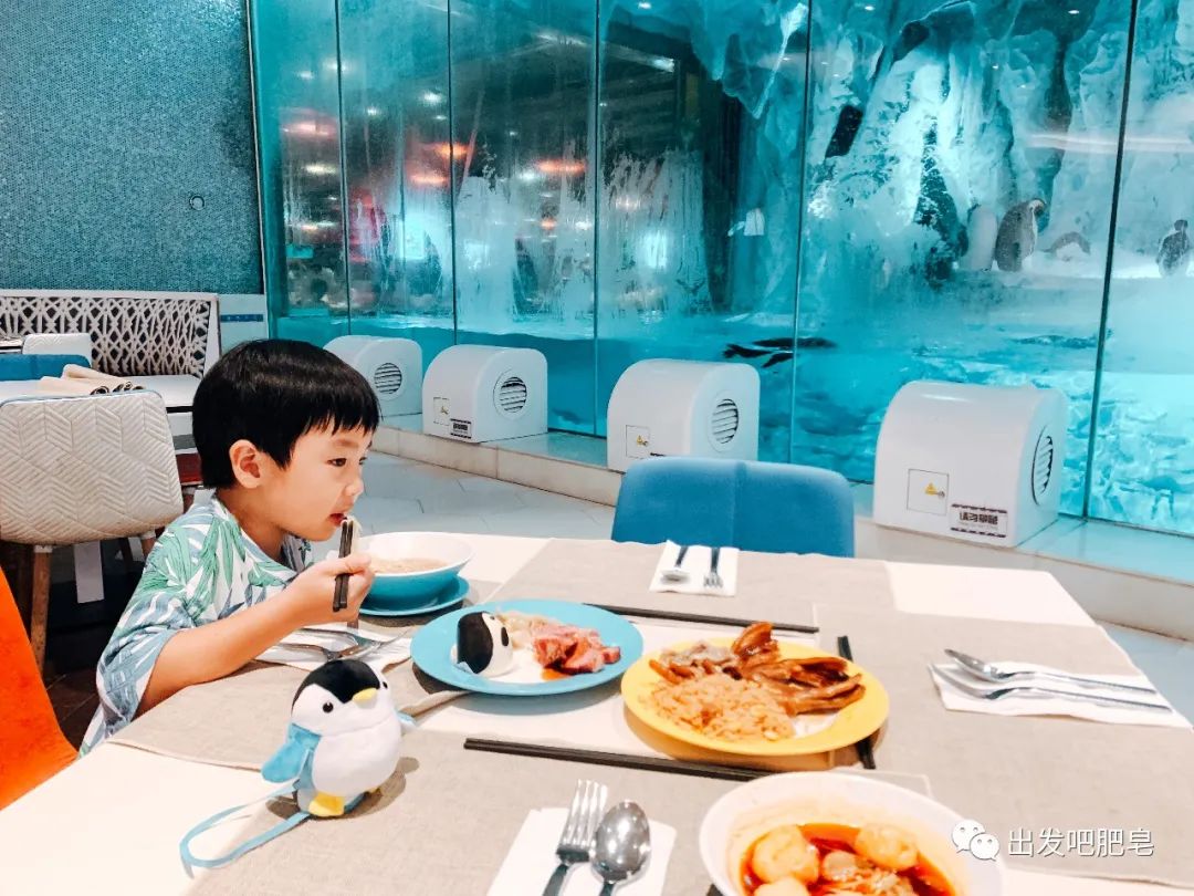 一天珠海长隆最全游玩攻略,最新的珠海长隆游玩攻略