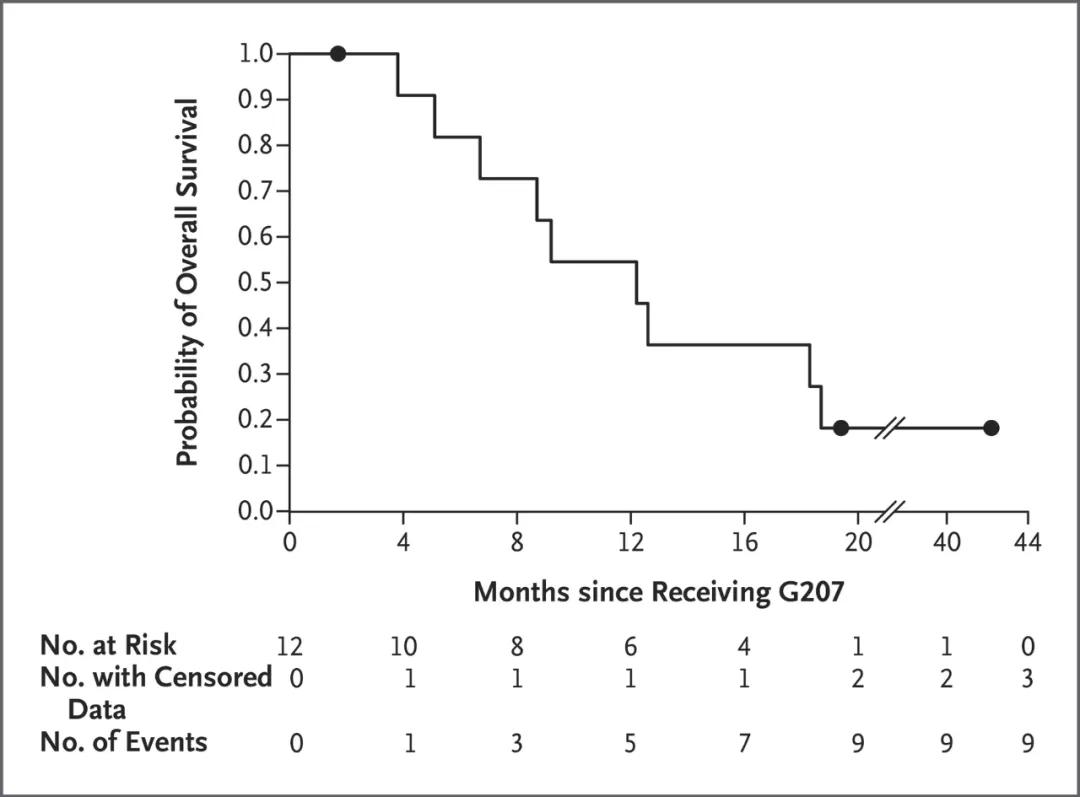 溶瘤腺病毒治疗恶性胶质瘤的研究,溶瘤病毒治疗脑胶质瘤