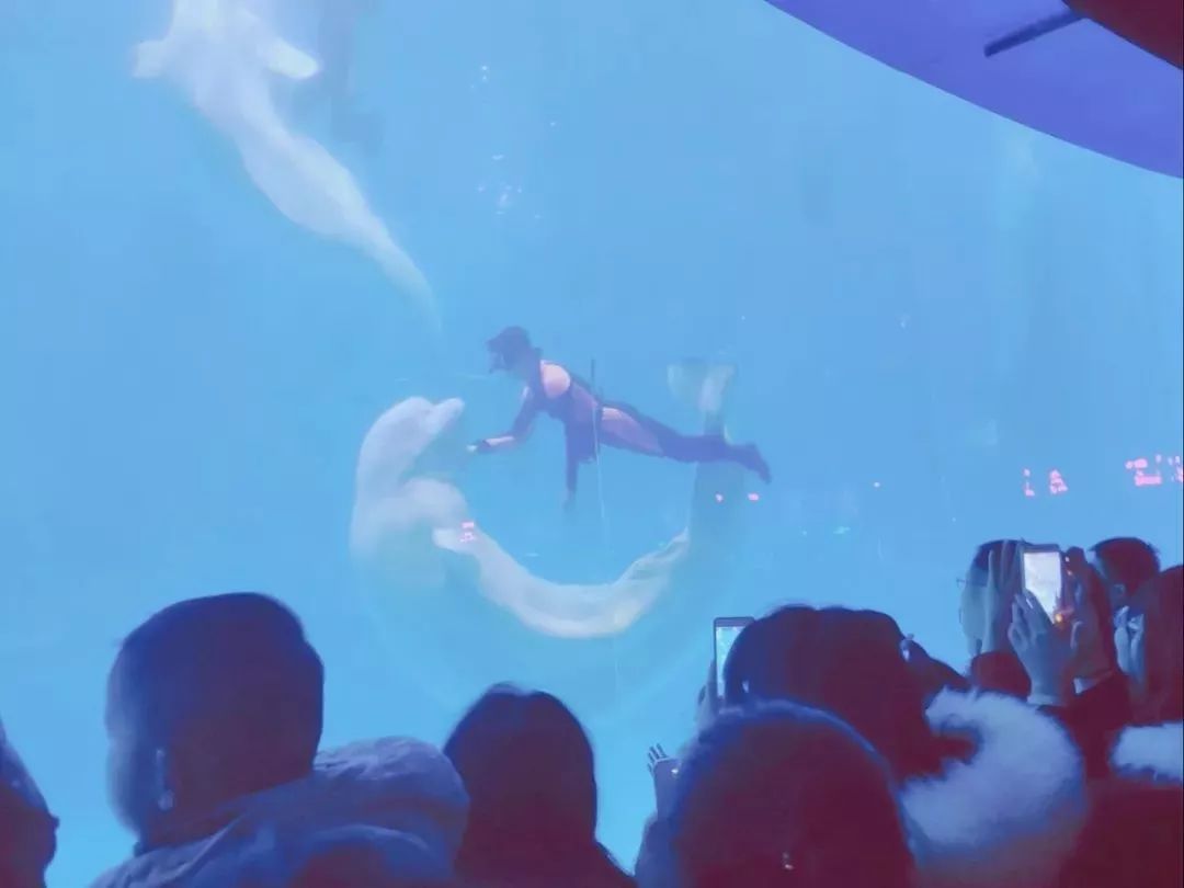 青岛13号线网红景点,青岛最值得去的景点和网红打卡点