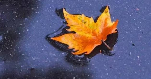 写图文一个月能赚多少钱,图文到底怎么才能吸粉