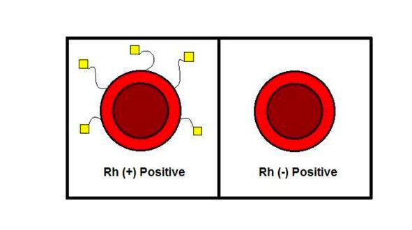 最罕见的血型在江苏被发现,江苏出现罕见血型