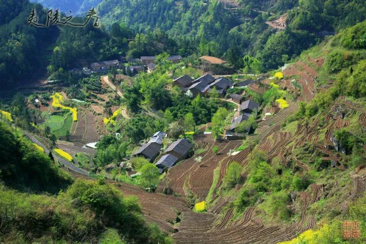 大秦帝国之崛起秦国最强阵容,大秦帝国之秦国崛起大战场面