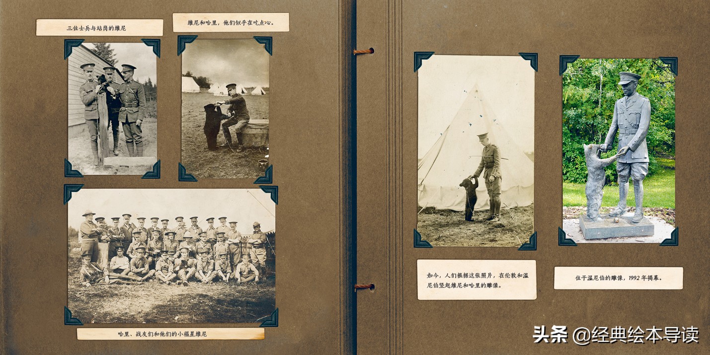 一只世界著名小熊的真实故事——《寻找维尼》导读