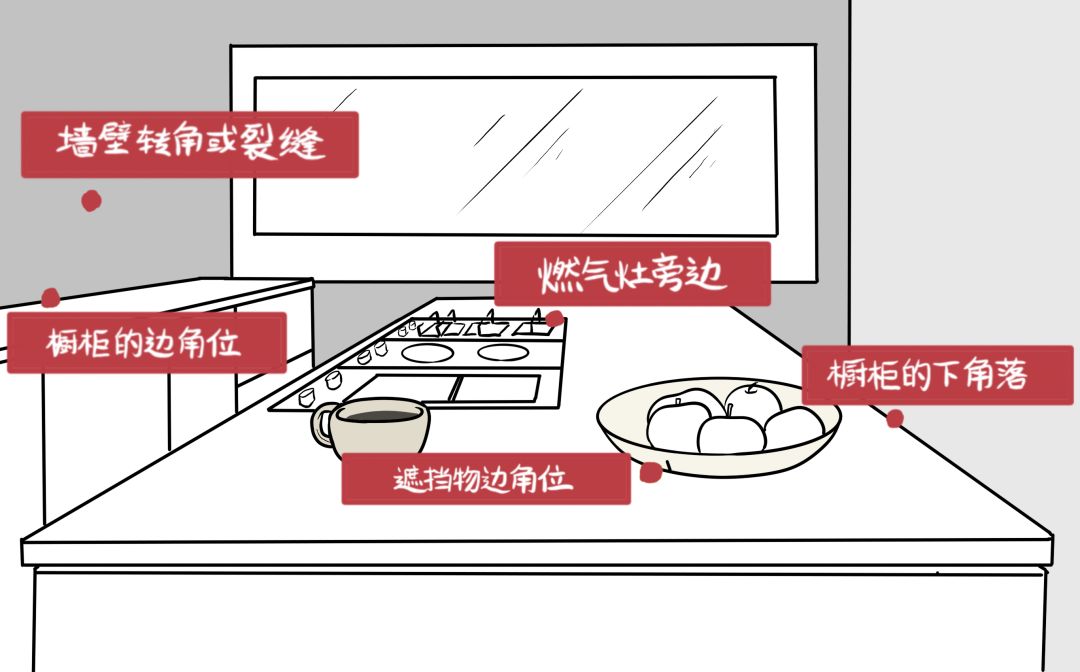 灭蟑螂最靠谱的2招教你消灭它,灭蟑螂怎么正确消灭最彻底