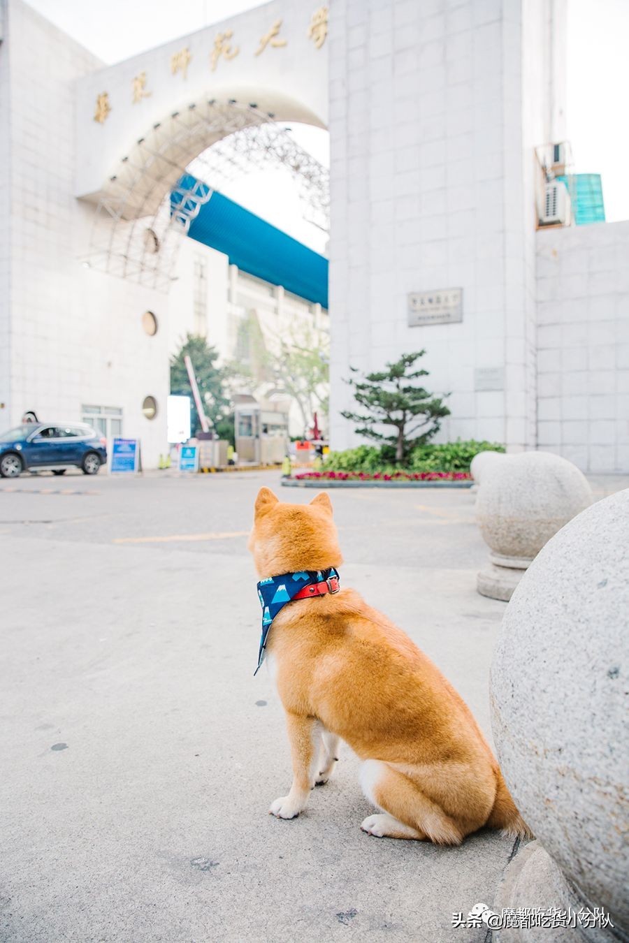 高考择校tips,高考择校指导985211