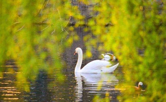 自学摄影胶片,自学照相机教程