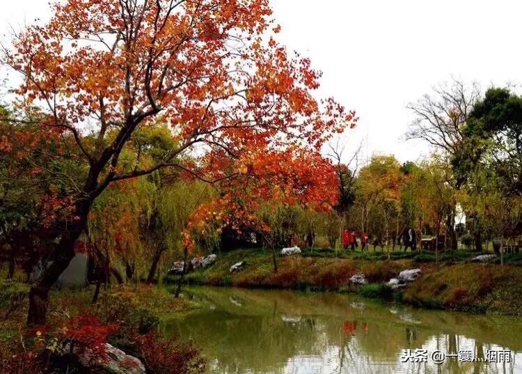 美丽的水乡周庄完整版,美丽的江南水乡充满诗情画意