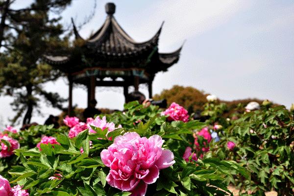 云赏直播中心,云赏直播