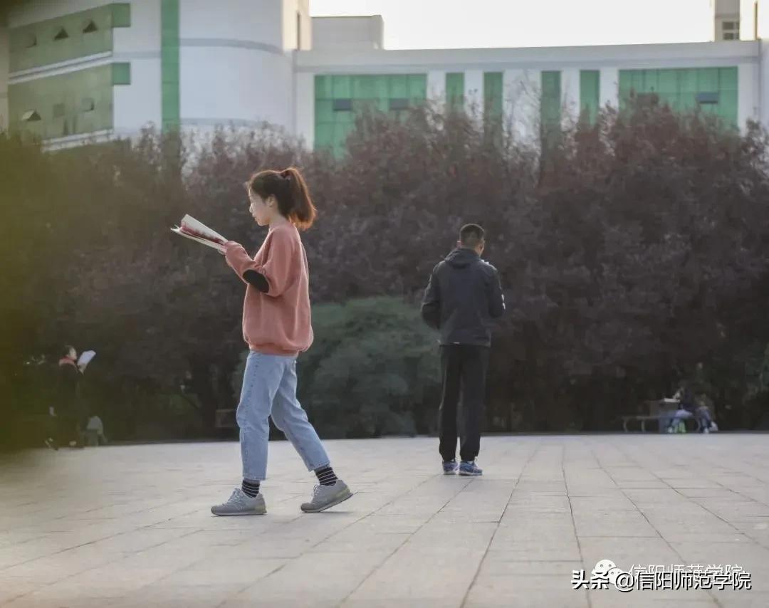 日落大道浪漫出逃歌词,在日落大道浪漫出逃下一句