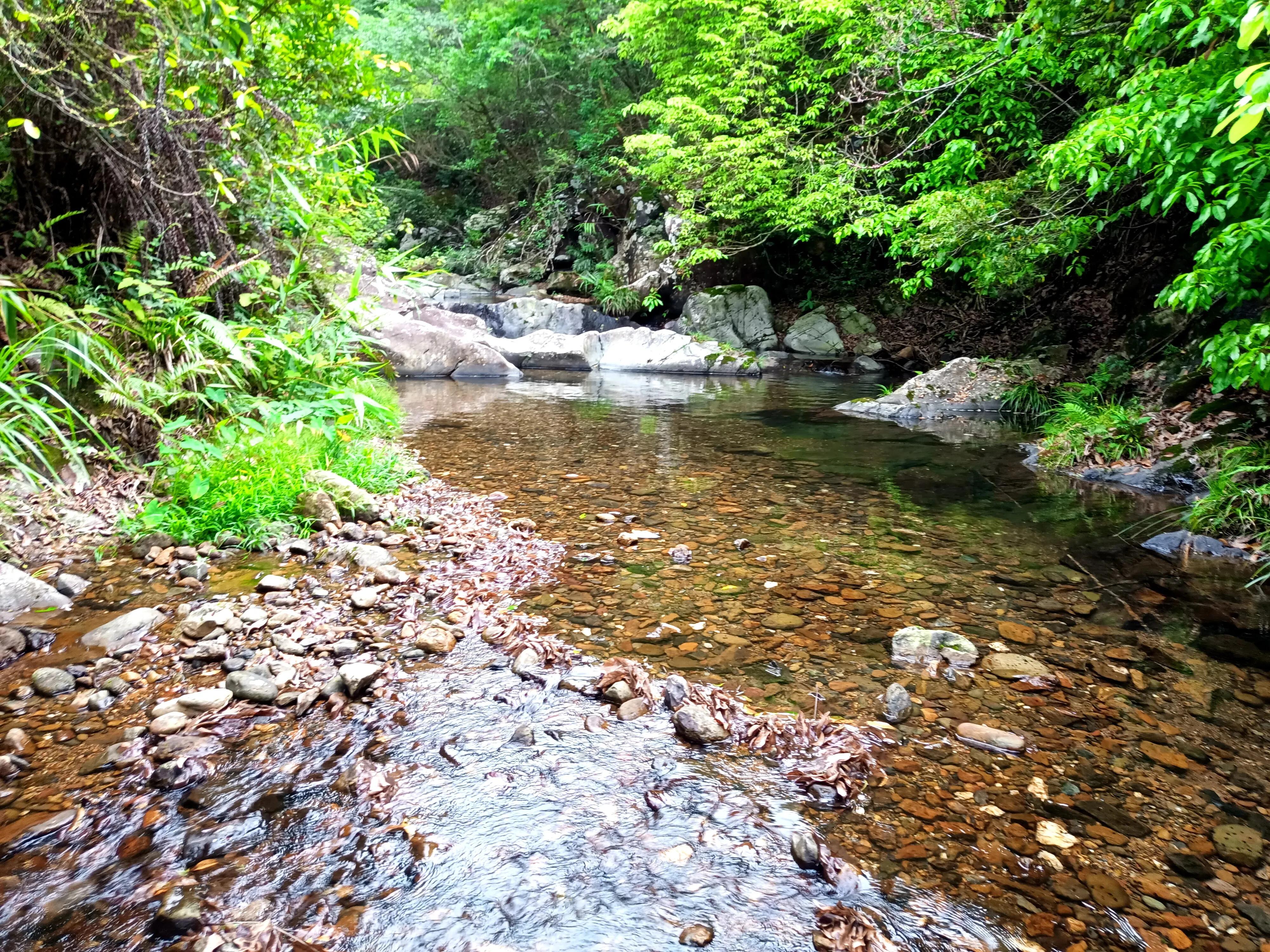 情人谷深圳,深圳情人谷绝情谷