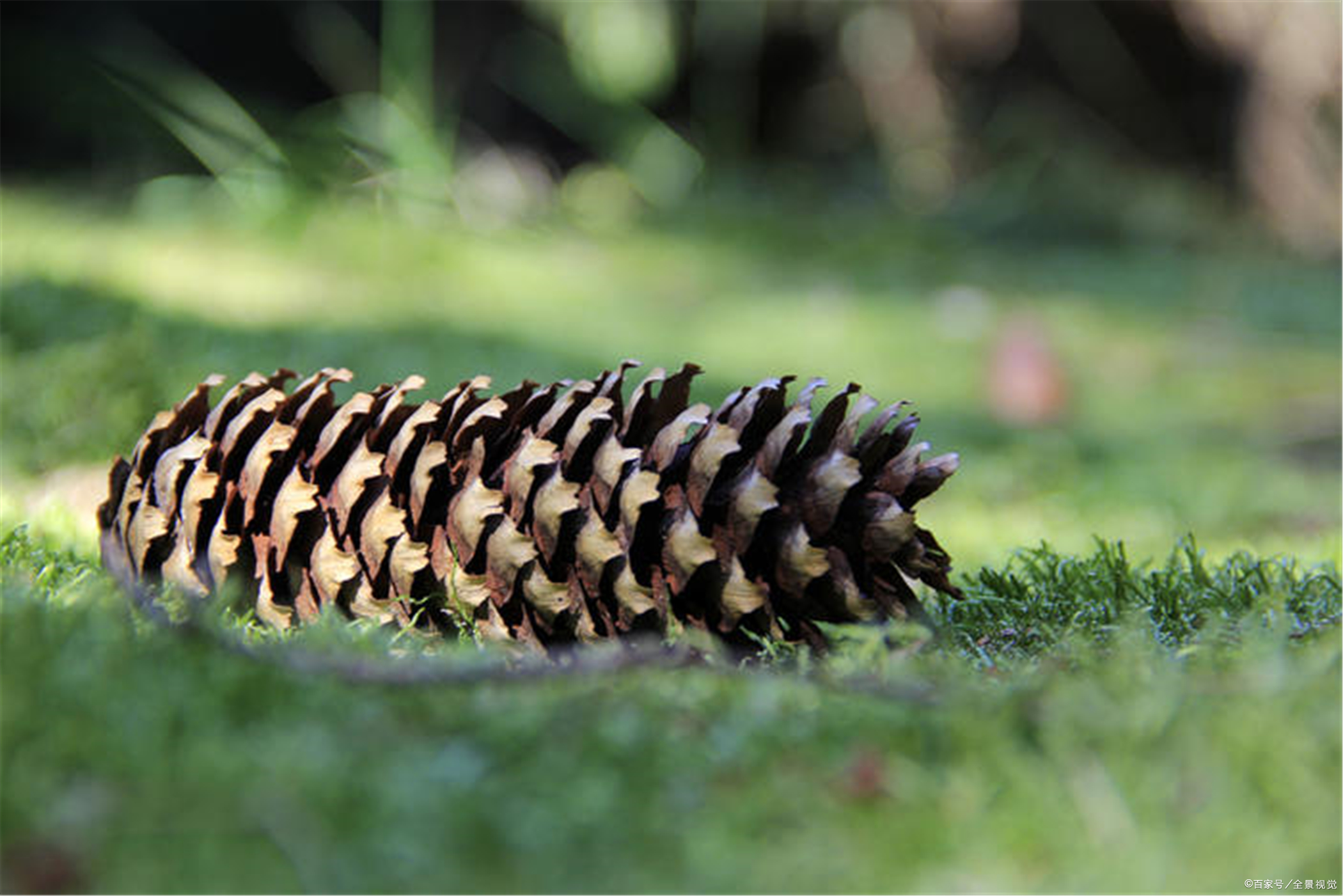 高中英语形容词和副词用法,高考英语形容词和副词的用法总结