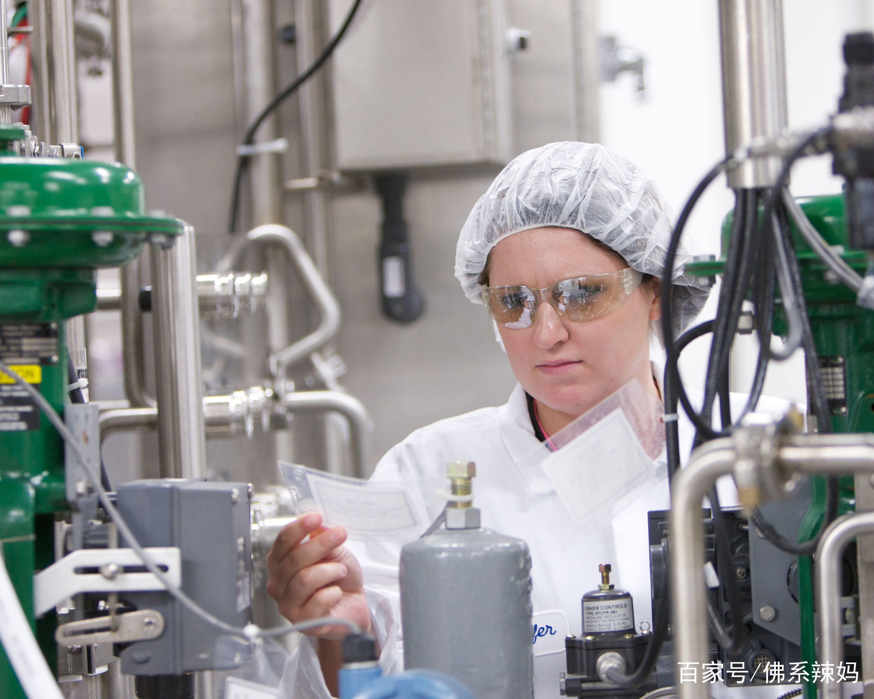 奶粉里有小飞虫如何解决,奶粉过期然后长虫要怎么解决