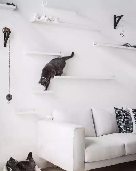 宜家酒店可以免费入住吗,宜家快闪体验馆