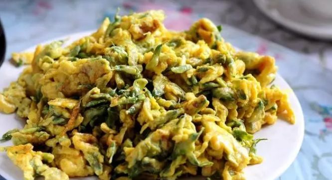 你想象的乡村是什么样的,你梦想的城市是怎样的