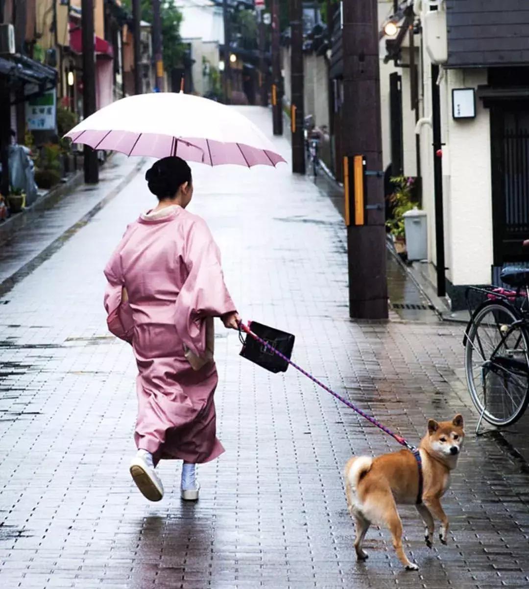 小白鞋什么时候穿好,小白鞋过时了吗