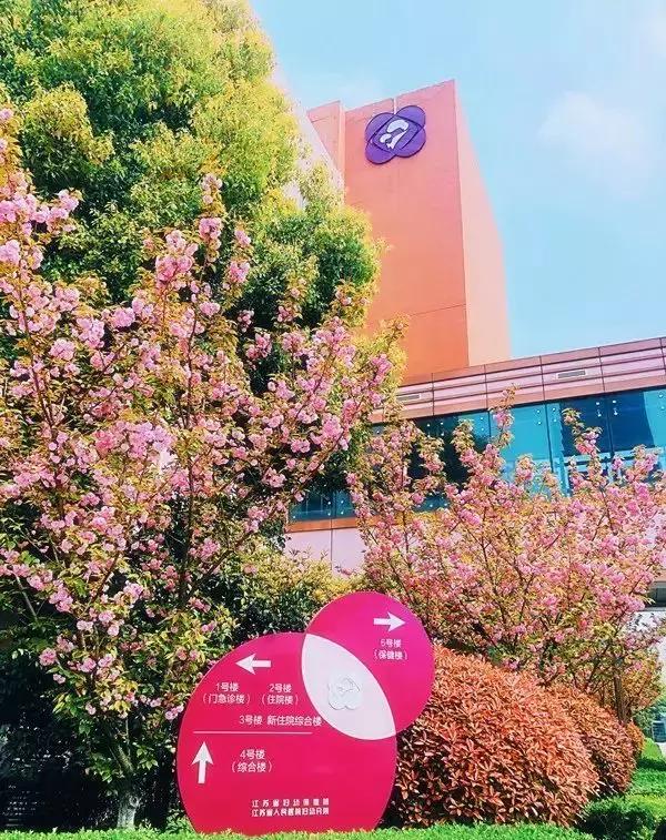 省妇幼最近新闻,省妇幼现在什么情况