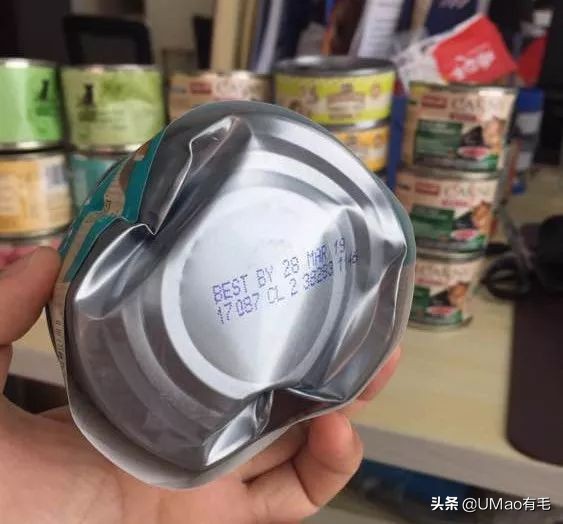 李佳琦叫卖都不管用！双十一猫咪用品这些坑得避