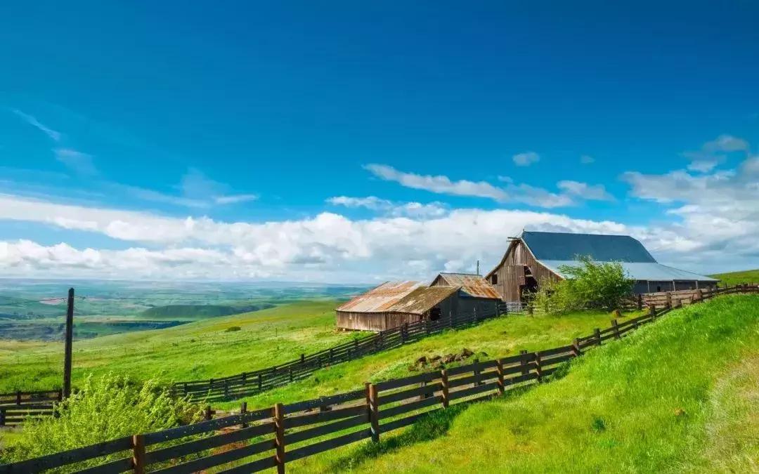 共享农场三四线城市能做吗,乡村共享农庄