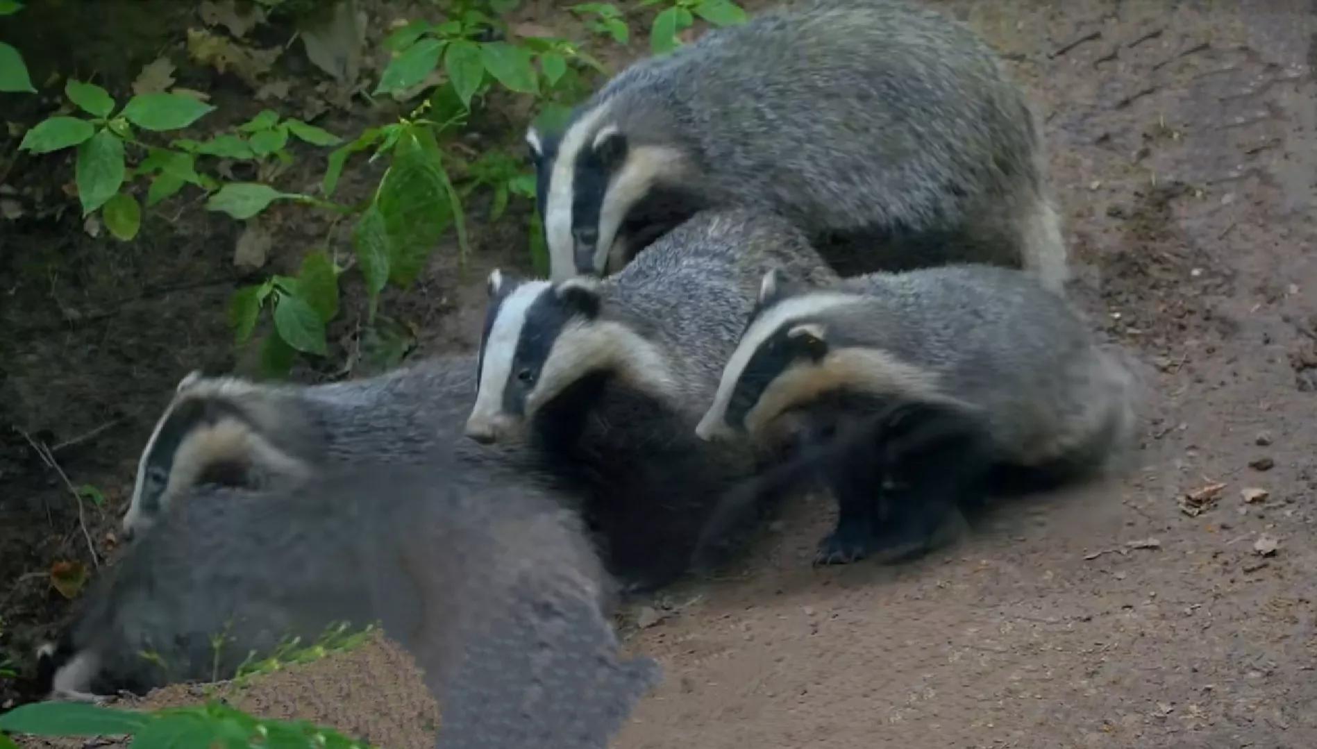 挑山的男人照片,挑山的男人免费阅读