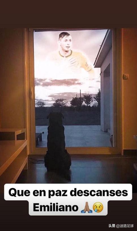 萨拉曼受伤最新消息,萨拉因空难去世